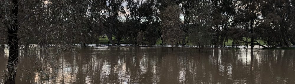 Flooded Axe Creek