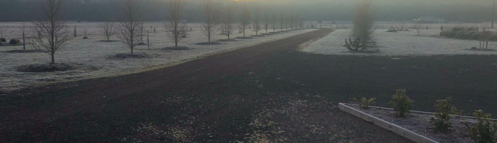 Frosty morning at Axedale