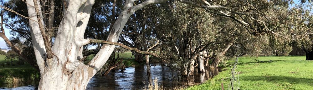 Receding floodwaters in Axe Creek